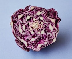 報(bào)志愿時(shí)軍校政審最新標(biāo)準(zhǔn) 都查什么