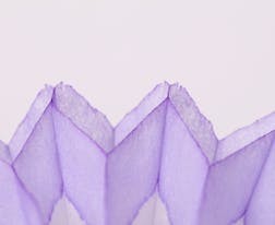 海南省2024年高職分類招生考試考生報(bào)名注意事項(xiàng)有哪些？