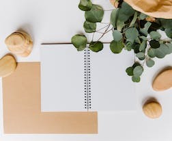 合肥師范學(xué)院2024年運(yùn)動(dòng)訓(xùn)練招生報(bào)名條件及要求