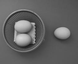 廣西壯族自治區(qū)2024年高考補(bǔ)報(bào)名于2月26日至28日17:30進(jìn)行