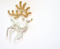 上海交通大學(xué)2024年藝術(shù)本科專業(yè)（美術(shù)類）招生簡章