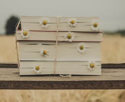 海南省2024年高考招生體育類統(tǒng)考公告發(fā)布