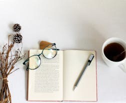 廣東省2024年普通高等學校招生和錄取工作設置